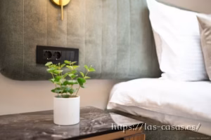 Premium Single Room