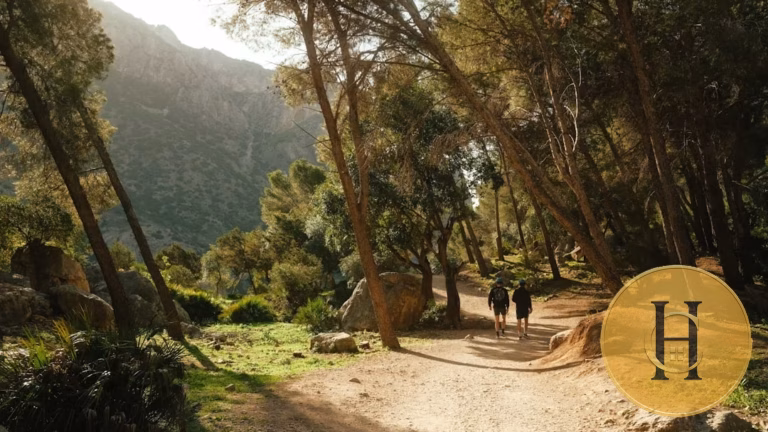 La nueva jungla legal: ¿salvación o pesadilla para los pisos turísticos?